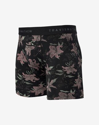 Travis Mathew Paradise Peak boxer